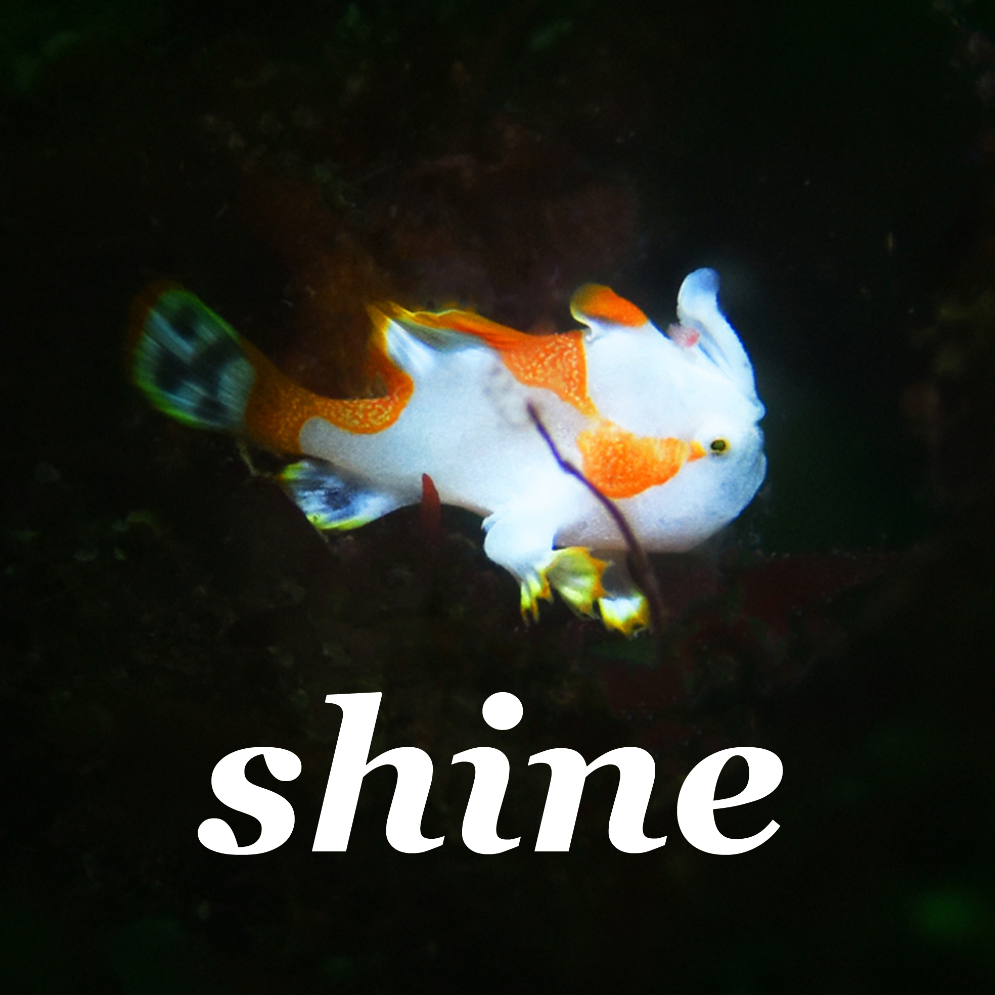 ロゴ